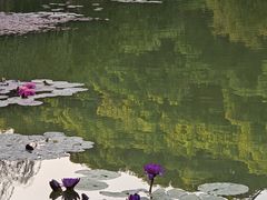 -云溪植物园