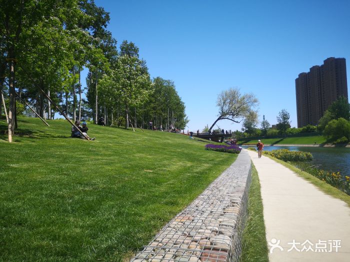 坝河休闲公园图片