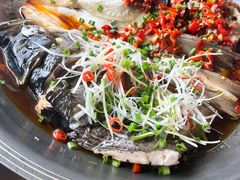 -渔歌子鱼头王(郑州总店)