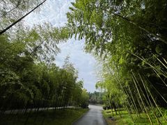-苏州环秀晓筑养生度假村