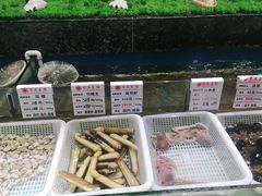 -宝燕壹号(徐汇店)