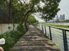-月湖风景区