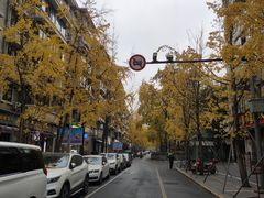-奎星楼街