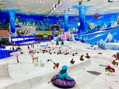 -湘江欢乐城欢乐雪域
