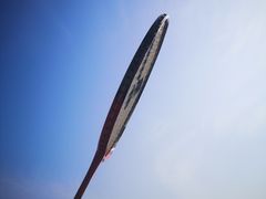 -东华大学(松江校区)