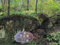 -汤旺河林海奇石景区