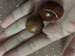 -杨记板栗(天虹总店)
