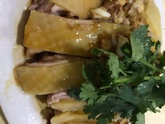 白切鸡-电白鸭粥店(下沙二坊88号店)