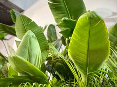 -精绝七日-新疆尼雅遗址数字大展【拉法耶文化艺术中心】