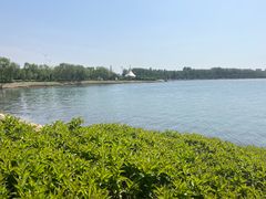 -丁香湖公园