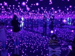 -北戴河圣蓝海洋公园