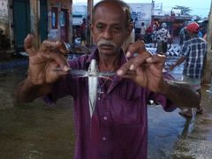 -尼甘布海鲜市场