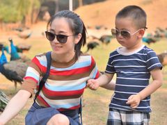 -西双版纳勐泐文化旅游区