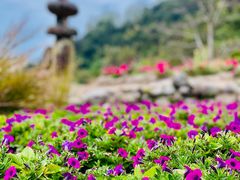 -广东天露山旅游度假区