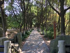 -白马涧龙池景区