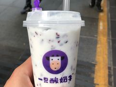 -一只酸奶牛(八一路店)