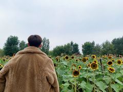 -长白岛森林公园
