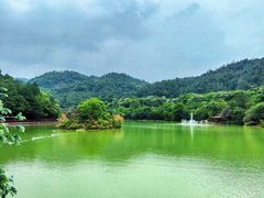 -广州白江湖森林公园