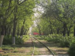 -永定河休闲森林公园