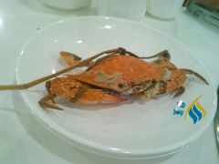 -银鲨海鲜烤肉火锅自助餐厅(五星店)