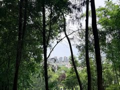 -富乐山
