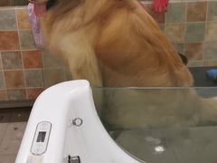 -佳雯宠物医院(四明中路分院)