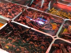 -金元源(新星店)