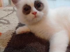 -徽州月·民间徽菜(浦东总店)