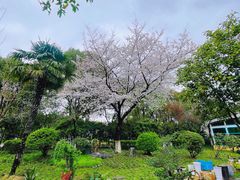 -昆山城市公园