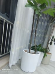 -HEYAN荷妍专业脱毛连锁机构