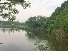 -王借岗森林公园