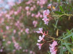 -福田红树林生态公园