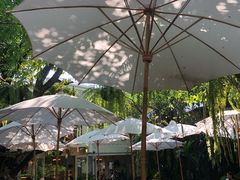 -Fern Forest Cafe
