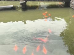 -丝绸小镇荻港古村