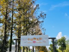 -前小桔亲子创意农场·草莓采摘·露营烧烤