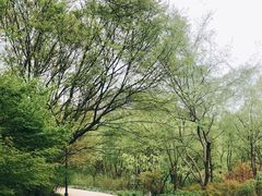 -西湖风景区-江洋畈生态公园