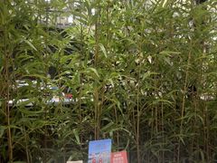 -同湘会馆(粤垦路店)