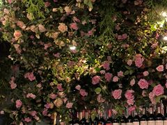 -第101座花园餐厅(湖滨88店)