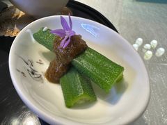 秋葵-松云泽