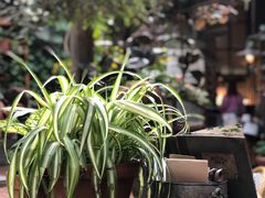 -The Grounds of Alexandria