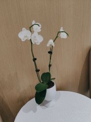 -广东韩妃整形外科医院