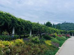 -苏州上方山国家森林公园