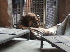 -鄂尔多斯野生动物园