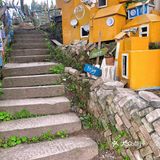 荒芜中的诗情画意