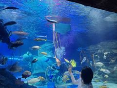 -沈阳海洋探索中心