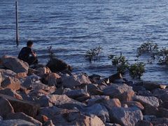 -宝安西湾红树林湿地公园