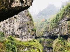 -鹿院坪生态旅游景区