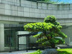 -广州市白云区图书馆