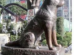-涩谷区