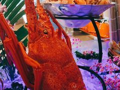 -星璞餐厅(深铁塘朗城君璞酒店)